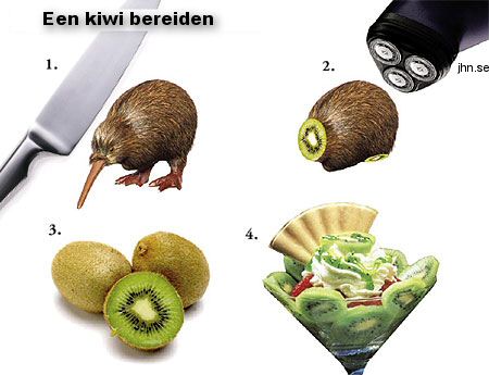 kiwibereidennl